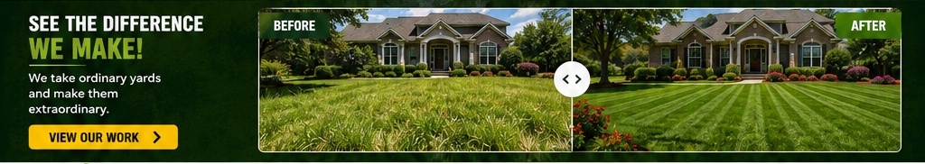 Before and after lawn care comparison